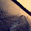 anthony_3102